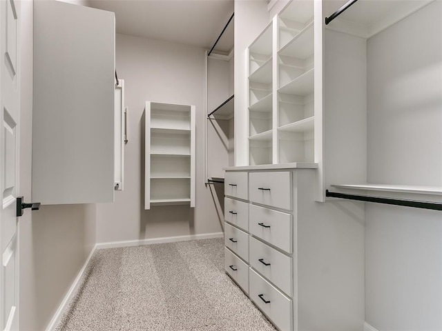 spacious closet with light carpet