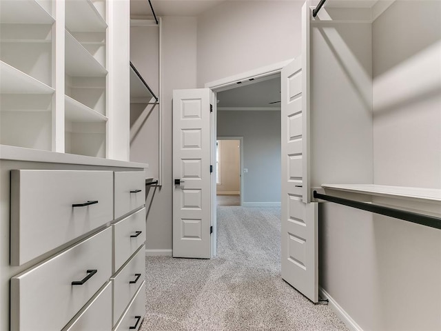 spacious closet with light carpet