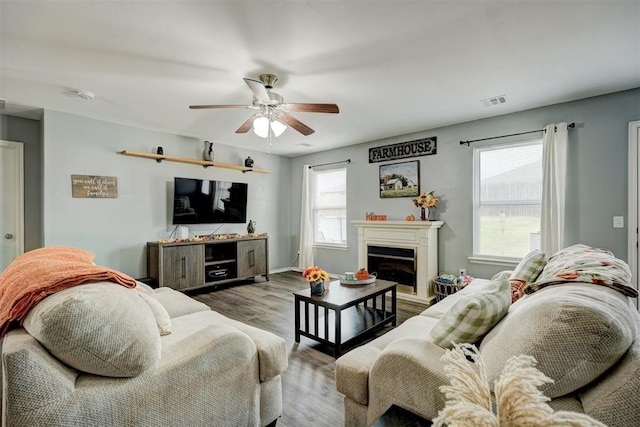 living room featuring wood-type flooring, ceiling fan, and a healthy amount of sunlight