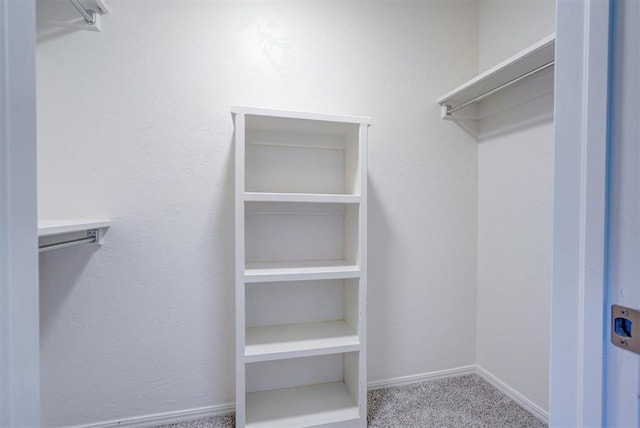 walk in closet with carpet