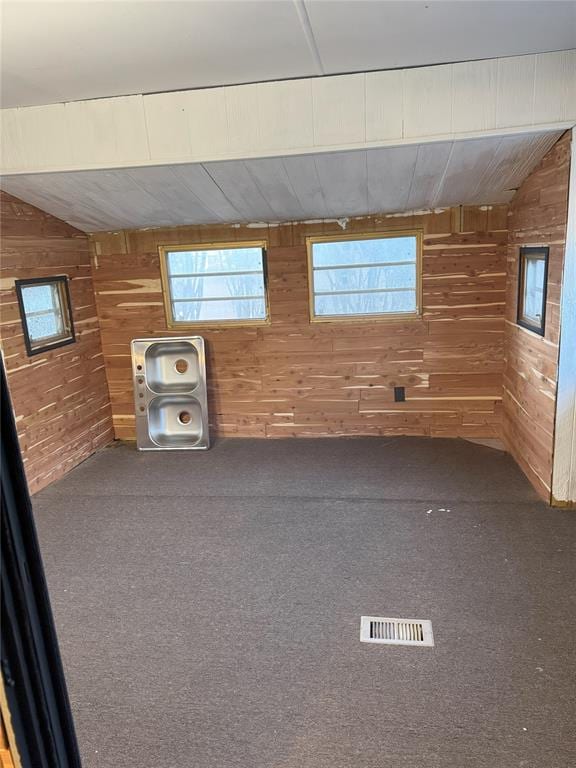 basement featuring wood walls and carpet floors