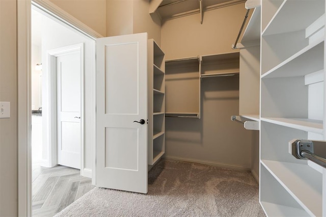 walk in closet featuring carpet flooring