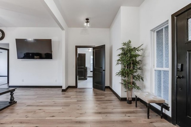 foyer entrance featuring light hardwood / wood-style floors