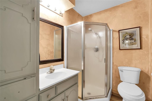 bathroom with vanity, toilet, and an enclosed shower