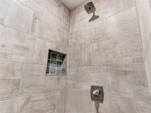 interior details with tiled shower