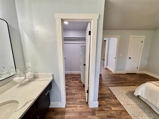 bathroom with wood-type flooring and vanity