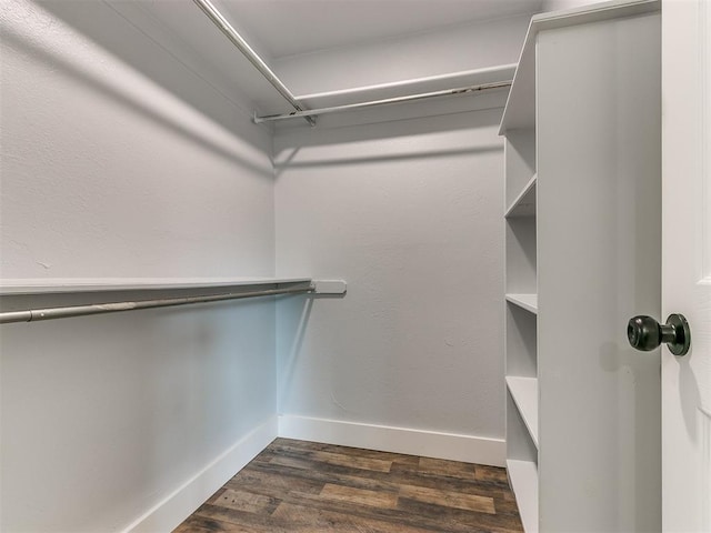 walk in closet featuring dark wood-type flooring