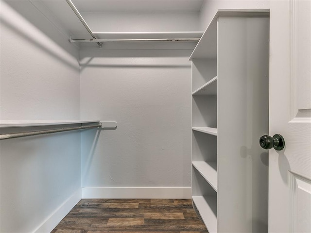 walk in closet with dark hardwood / wood-style floors