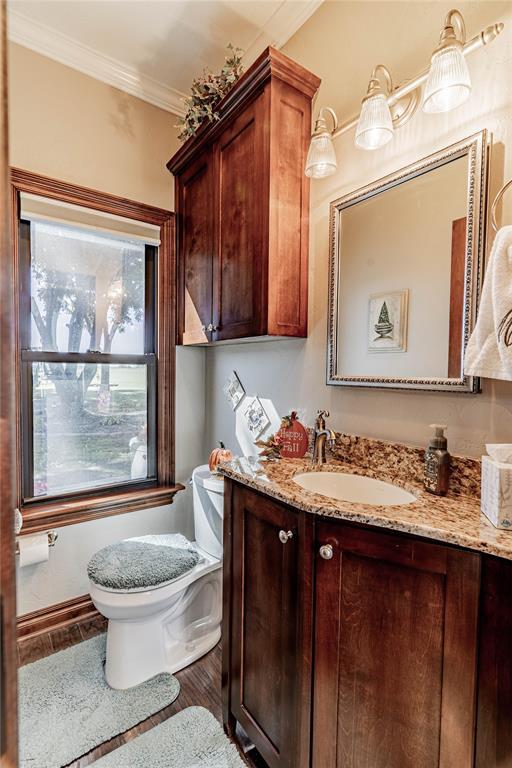 bathroom featuring crown molding, vanity, wood-type flooring, and toilet