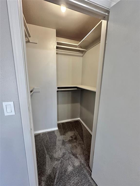 walk in closet featuring carpet