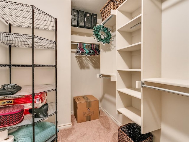 walk in closet featuring light colored carpet