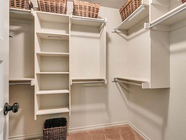 spacious closet with carpet flooring