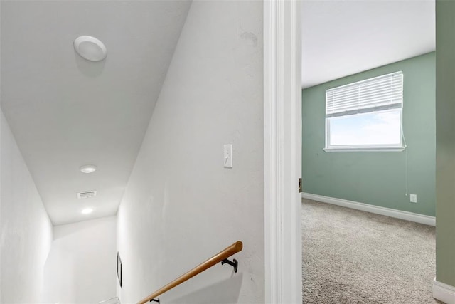 stairs with carpet floors