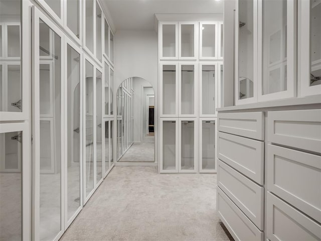 walk in closet with light colored carpet