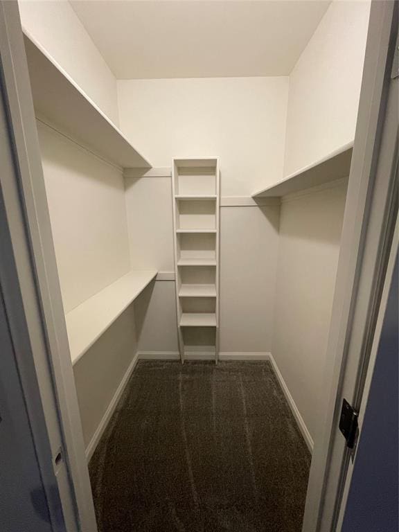 walk in closet with dark colored carpet