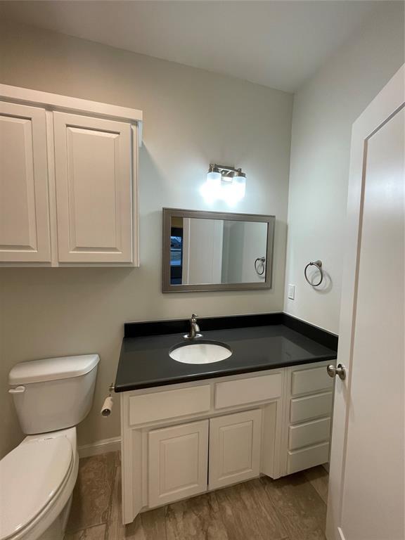 bathroom featuring vanity, toilet, and wood-type flooring