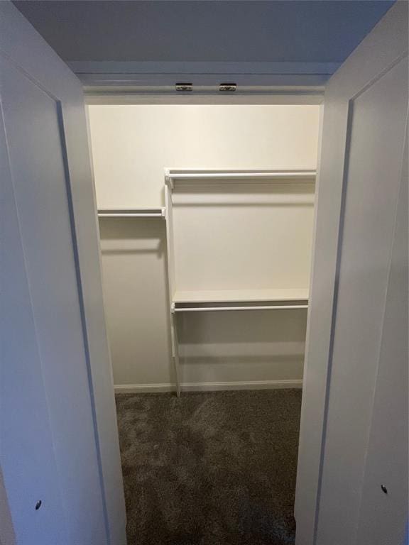 spacious closet featuring dark colored carpet