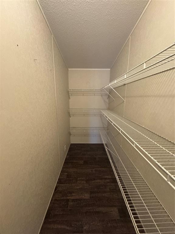 spacious closet featuring dark hardwood / wood-style floors