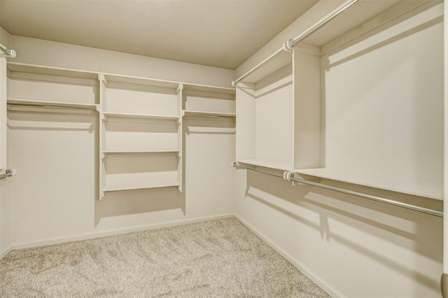 walk in closet with light carpet