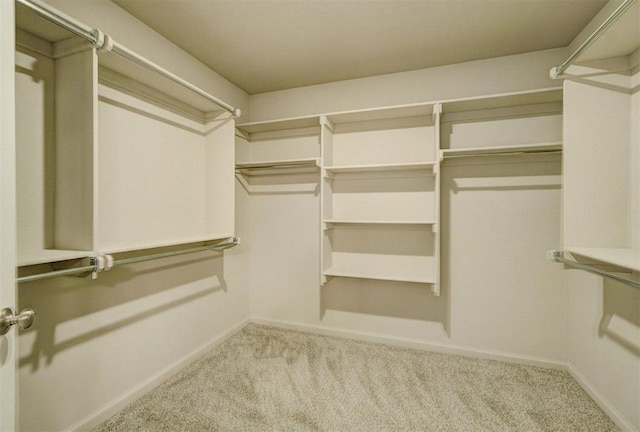 spacious closet featuring light colored carpet