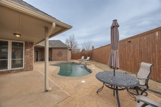 view of pool with a patio area and pool water feature