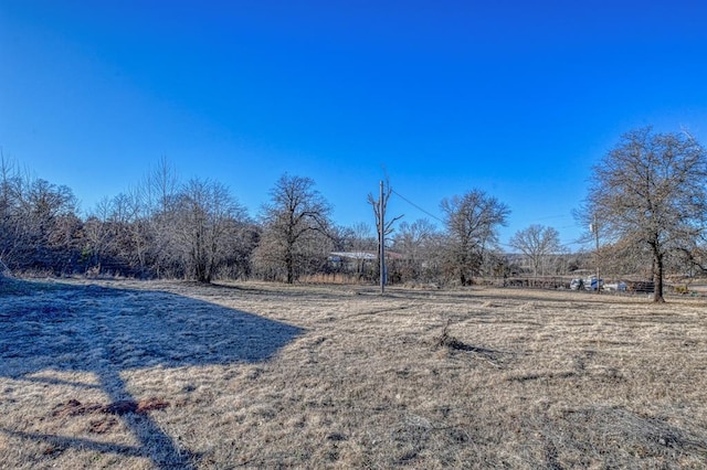 view of yard with a rural view