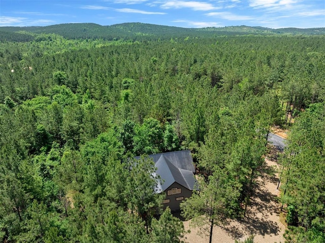 drone / aerial view featuring a mountain view