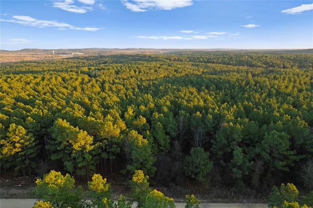 456 Pine Hills Rd, Broken Bow OK, 74728 land for sale