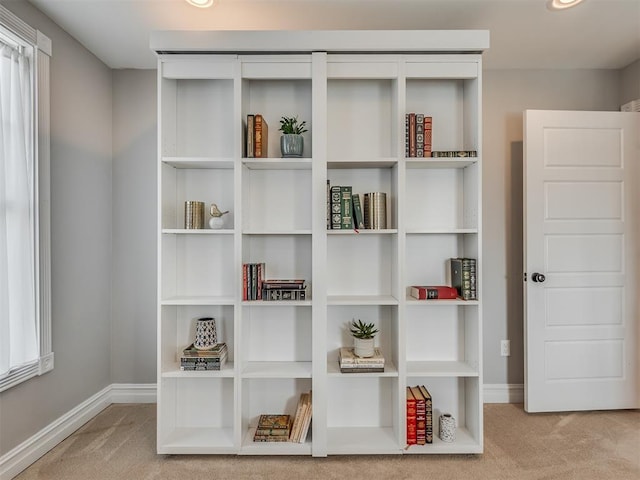 details with carpet floors and baseboards