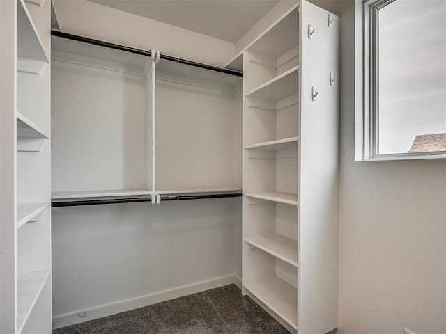 spacious closet with dark colored carpet