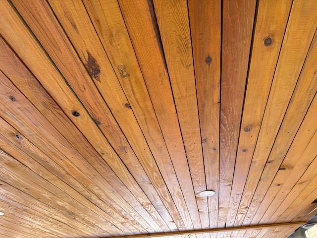 details with wooden ceiling