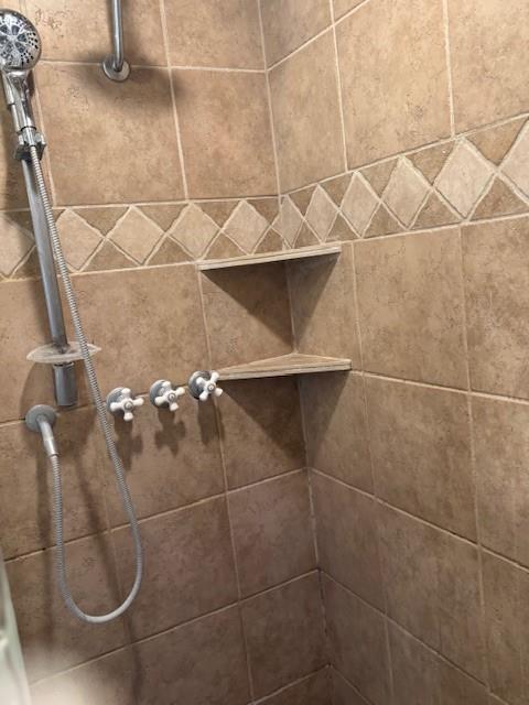 room details with tiled shower