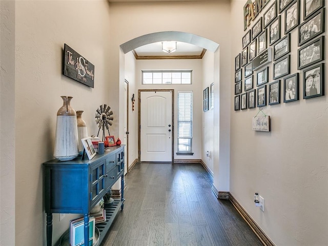 entrance foyer with dark hardwood / wood-style floors, ornamental molding, and a towering ceiling