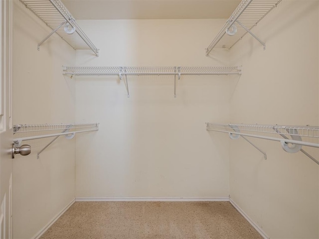 walk in closet with light carpet