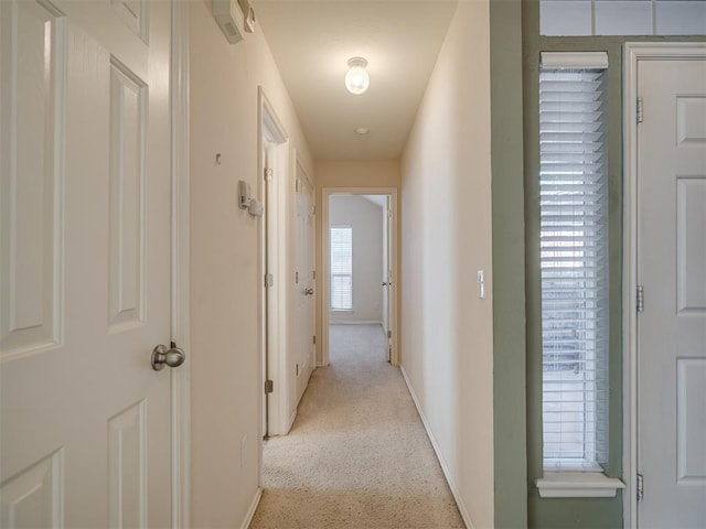 corridor with light colored carpet