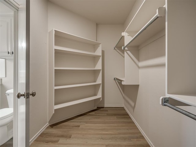 walk in closet featuring light wood-type flooring