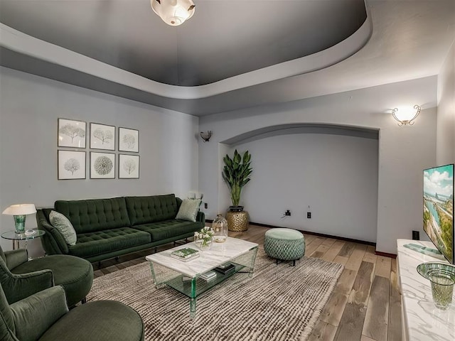 living room featuring hardwood / wood-style flooring and a raised ceiling