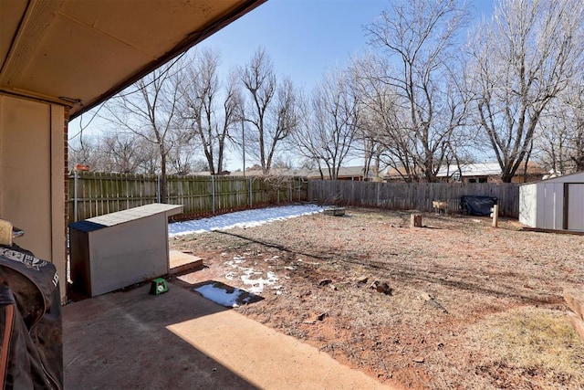 view of yard with a patio and a shed