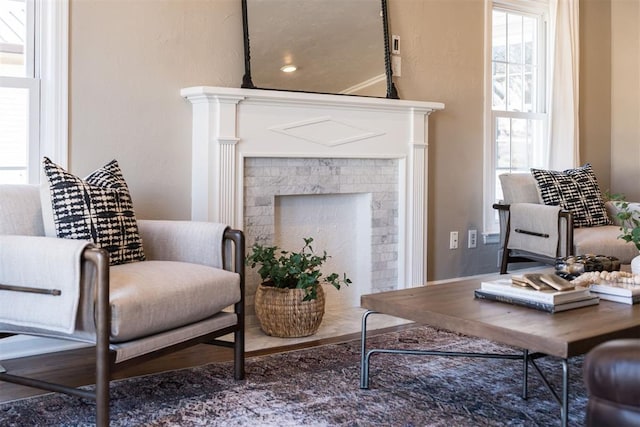 living area with a fireplace