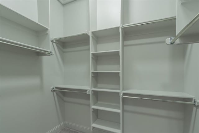 view of walk in closet