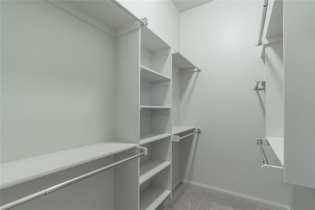 walk in closet with light carpet