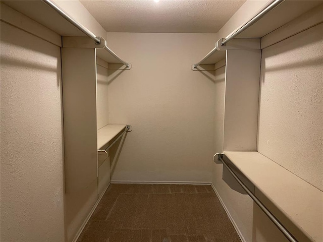 walk in closet with dark colored carpet