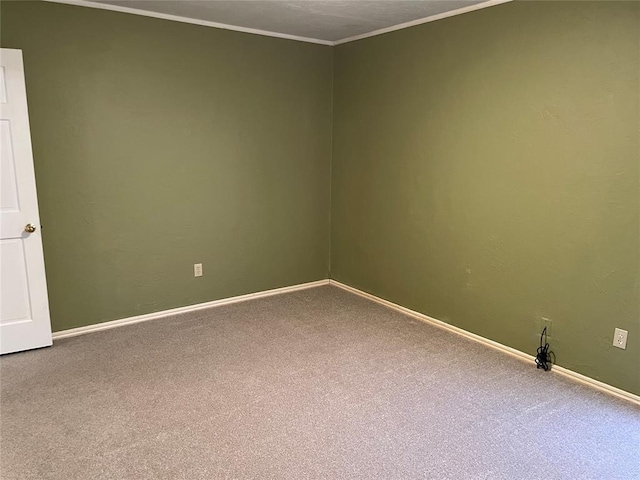 unfurnished room featuring carpet floors and crown molding