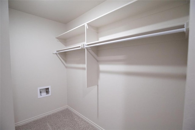 1917 Taines Turn, Norman, OK 73072 - walk in closet with carpet floors