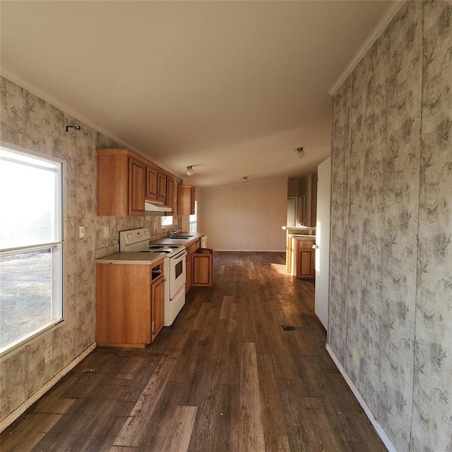 kitchen featuring under cabinet range hood, dark wood-type flooring, electric stove, ornamental molding, and light countertops