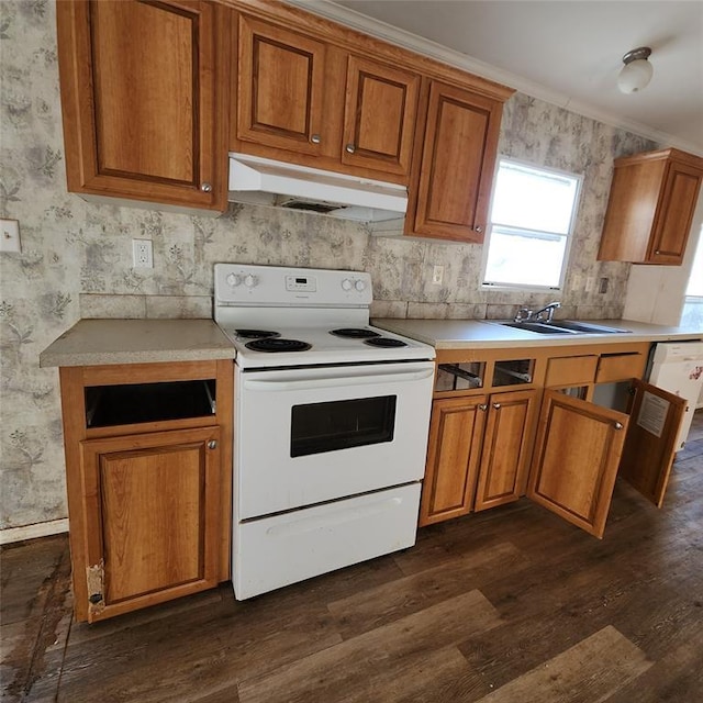 kitchen featuring white appliances, brown cabinets, dark wood-type flooring, under cabinet range hood, and a sink