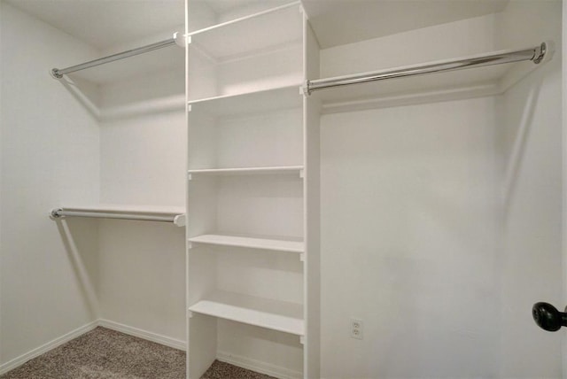 walk in closet with carpet floors