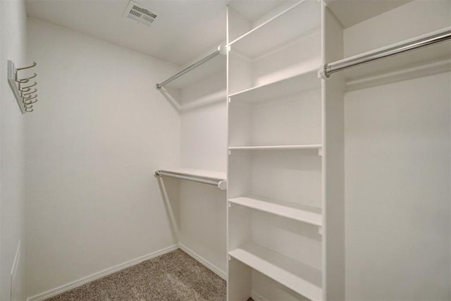 spacious closet with carpet