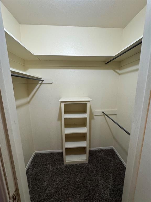 walk in closet featuring carpet