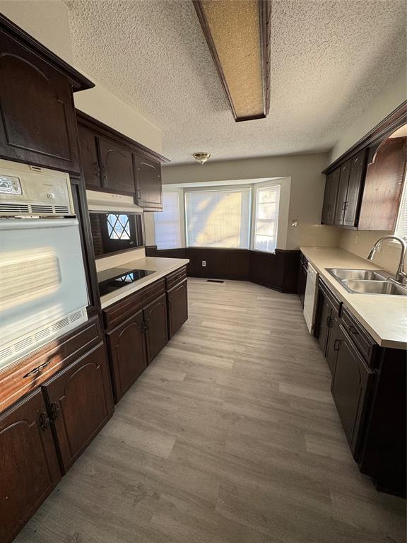 kitchen featuring sink, light hardwood / wood-style flooring, oven, a textured ceiling, and black electric cooktop